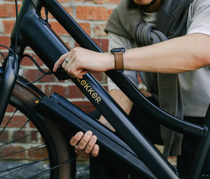 Gen3 Jordaan Urban 8sp eBike